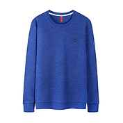 佳燦男裝春裝新款大眾基礎(chǔ)長(zhǎng)袖男士t恤爸爸裝上衣圓領(lǐng)打底衫