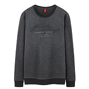 佳燦男裝 秋冬新款青年時尚純色圓領(lǐng)套頭字母休閑衛(wèi)衣男