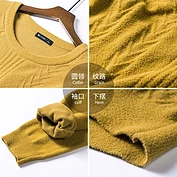 佳燦男裝秋季新款舒適圓領(lǐng)衛(wèi)衣男時尚休閑仿貂絨紗線衛(wèi)衣男潮