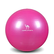 佳燦瑜伽球套裝 加厚健身球平衡彈力運動瑜珈球