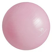佳燦加厚瑜伽球防爆正品初學(xué)者運(yùn)動健身瑜珈球兒童彈力平衡球女士